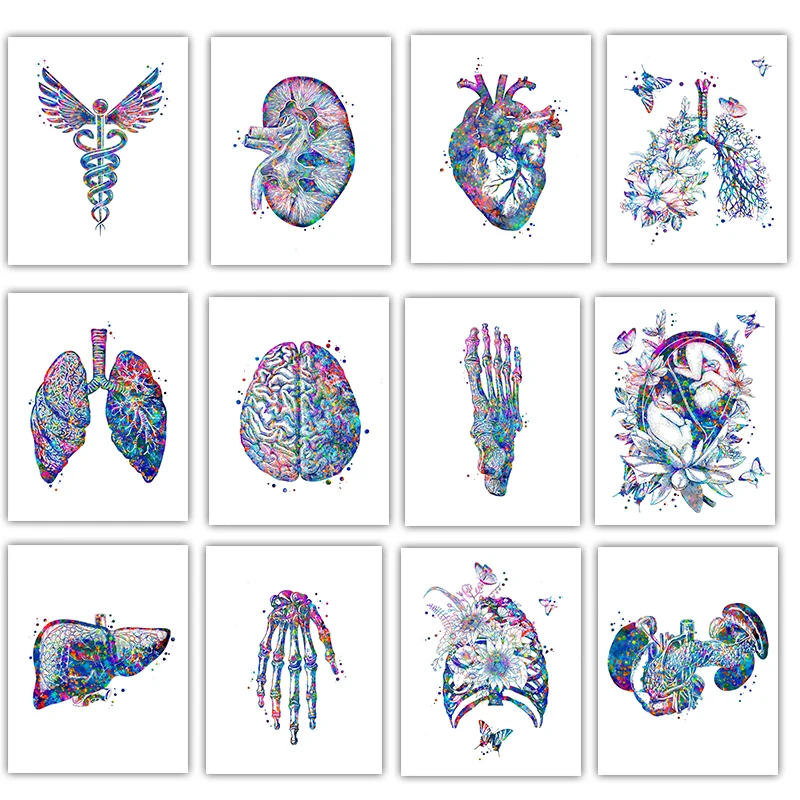 Anatomy Medical Poster Flower  - огляд і ціна Medical Lab Pictures