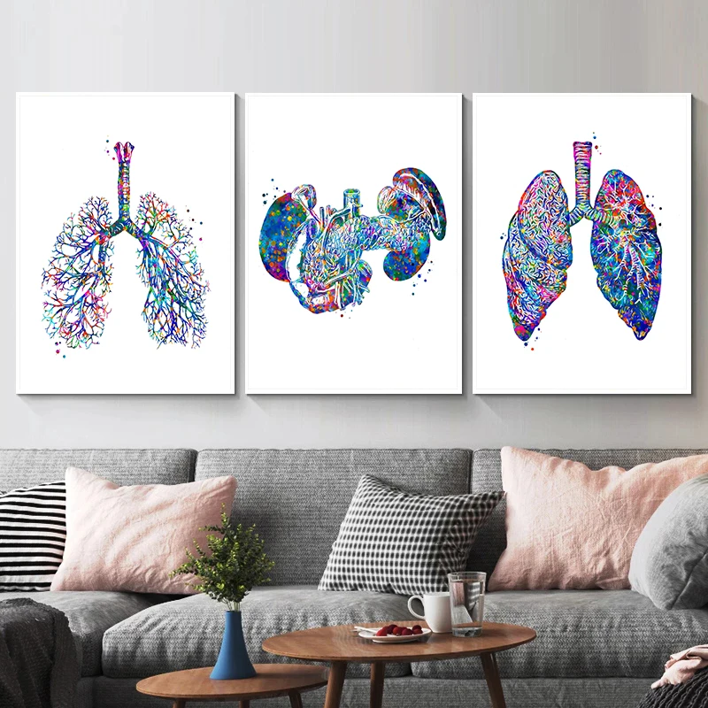 Anatomy Medical Poster Flower  - огляд і ціна Medical Lab Pictures