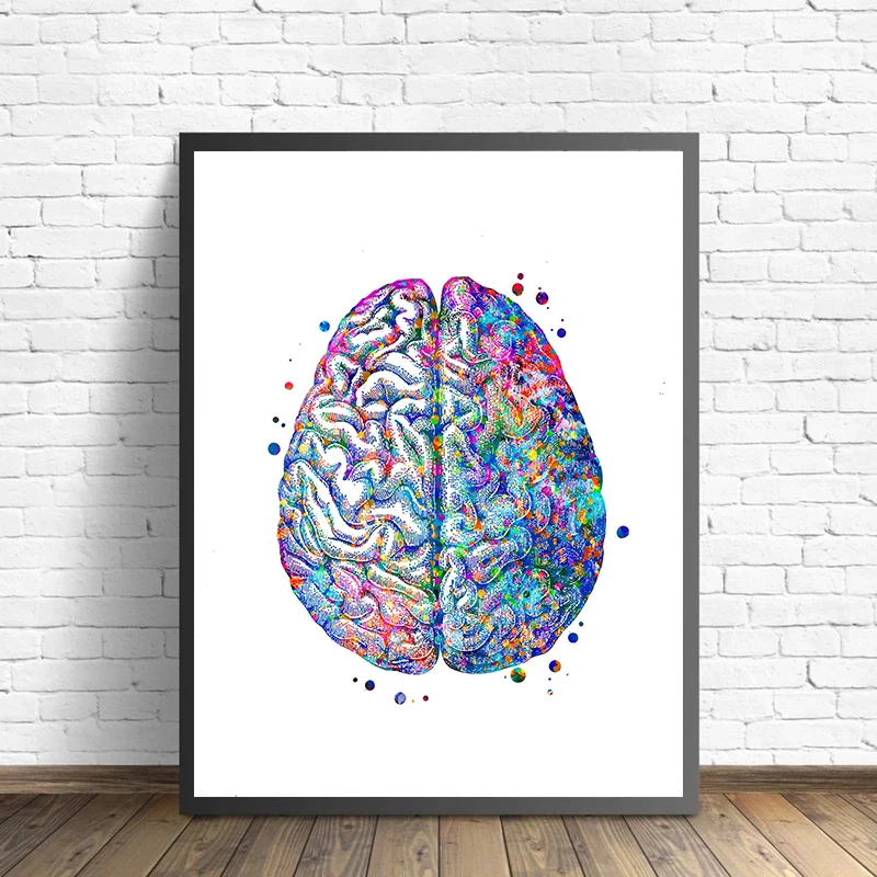 Anatomy Medical Poster Flower  - огляд і ціна Medical Lab Pictures