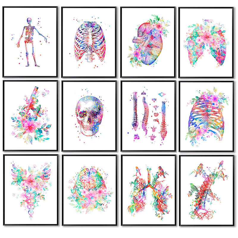 Unframe Anatomy Medical Poster - огляд і ціна Medical Lab Pictures