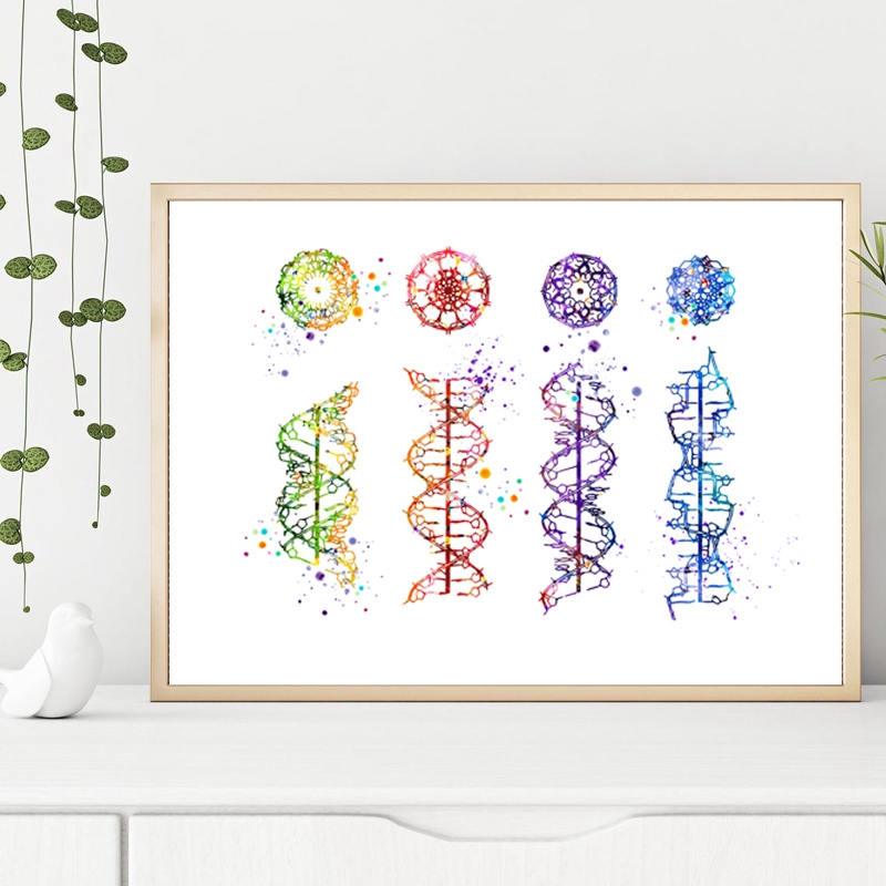 DNA Molecule Print Modern Medi - огляд і ціна Medical Lab Pictures